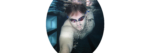 Kraultechnik - richtig und effizient schwimmen